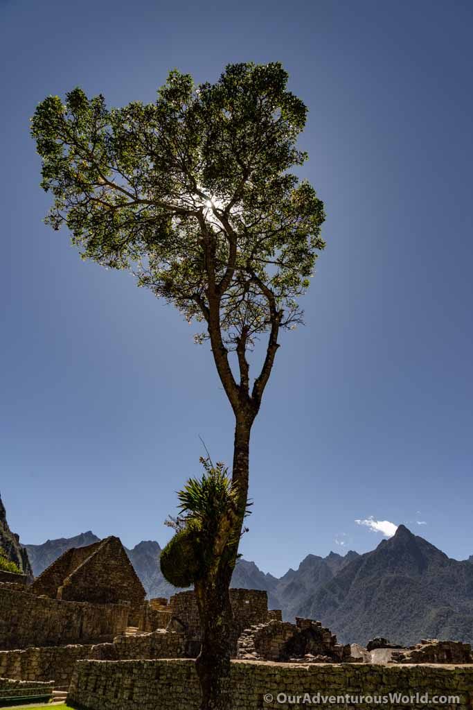 Machu Picchu